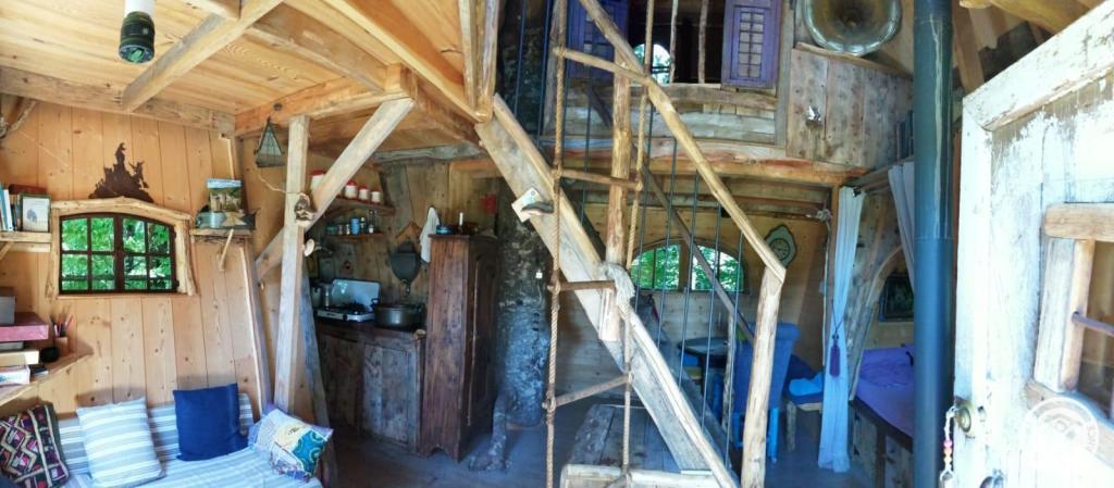 La Soleil à La ferme des histoires mélangées