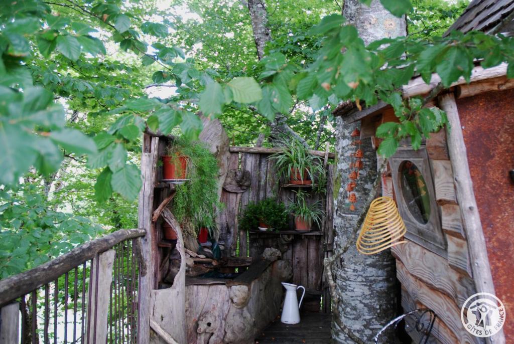 La Soleil à La ferme des histoires mélangées