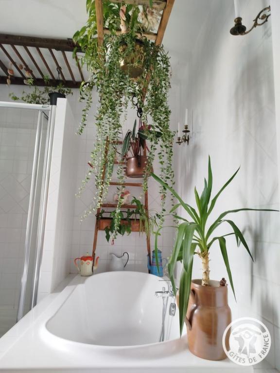 Le Nid à La ferme des histoires mélangées