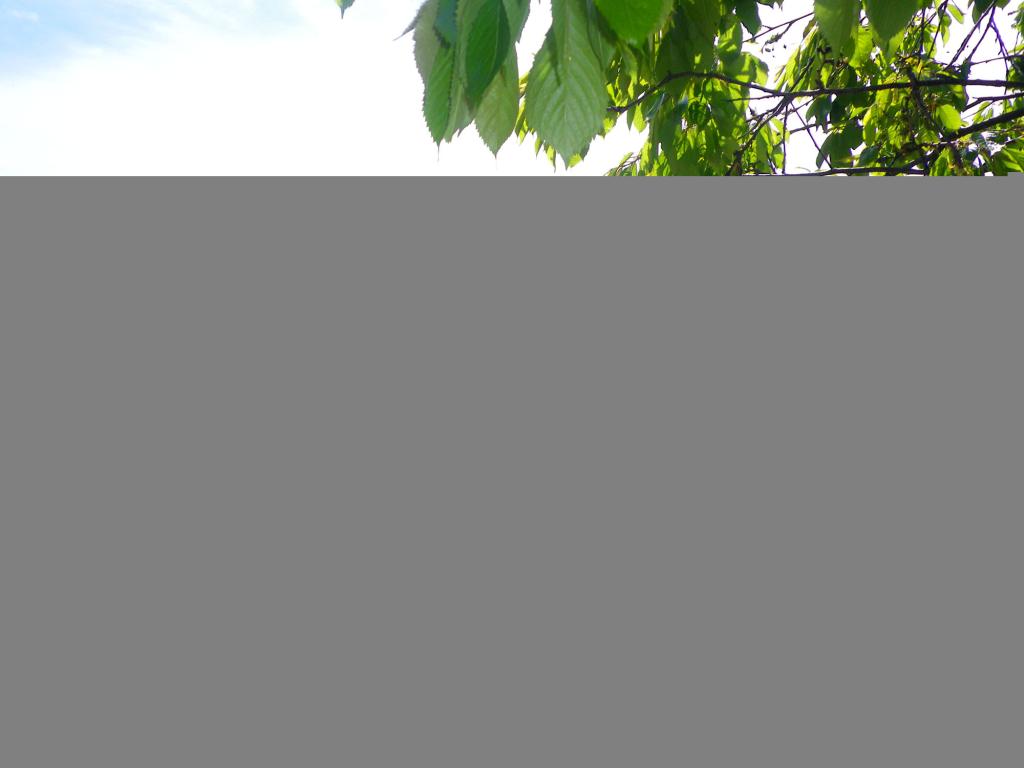 La Grange - Meublé de Tourisme CHASSAGNE