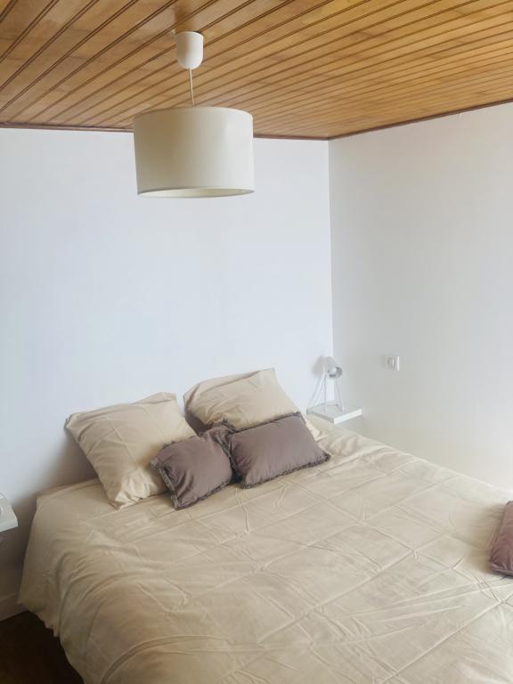 Meublé de Tourisme "A l'ombre du Tulipier"