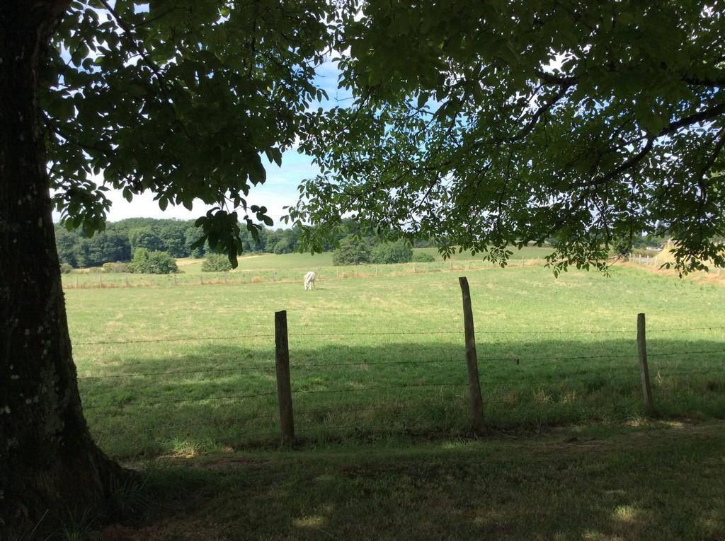 Meublé de Tourisme BOURNAZEL