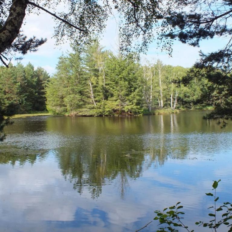 La Ganotte Grand Gîte