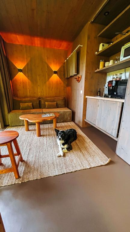 Les Cabanes de Salagnac