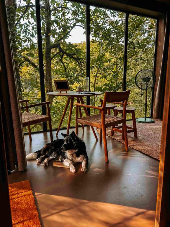 Les Cabanes de Salagnac