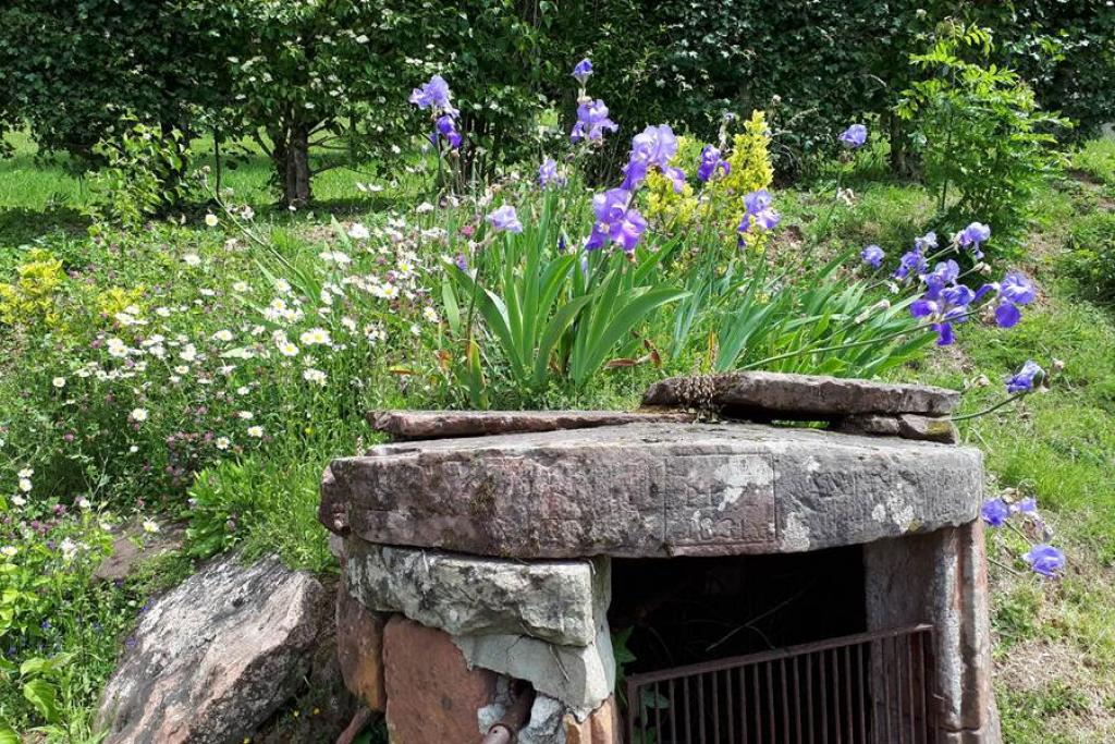 La Maison des Etoiles - Cassiopée