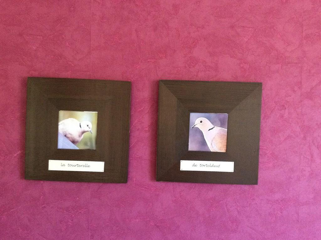 MILLE JOIES - La Tourterelle