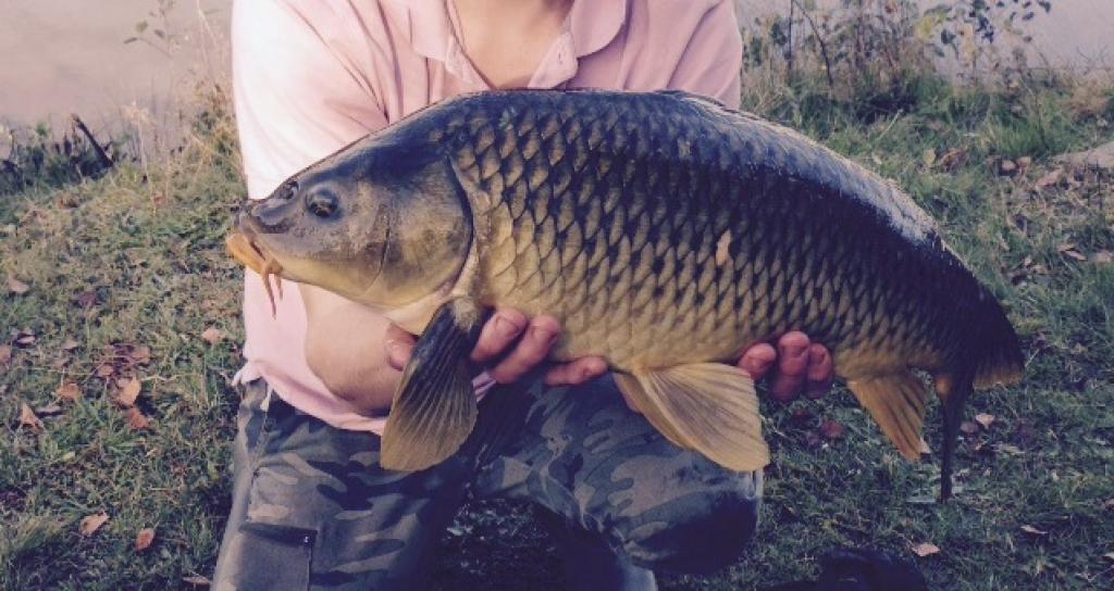 les gîtes et chambres - Domaine Moulin de Lachaud