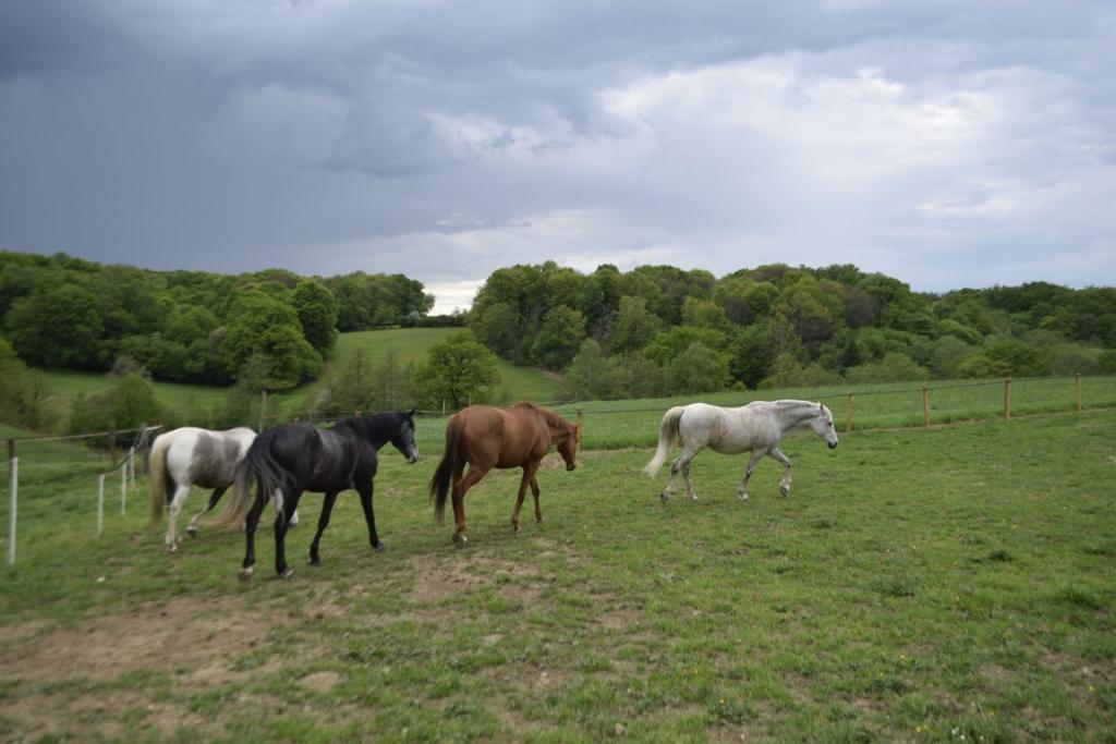 Meublé de Tourisme le pré des Colombes