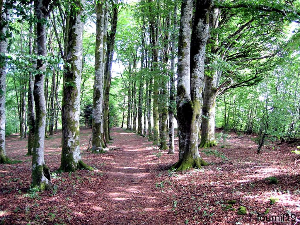 La Maison du Fermier