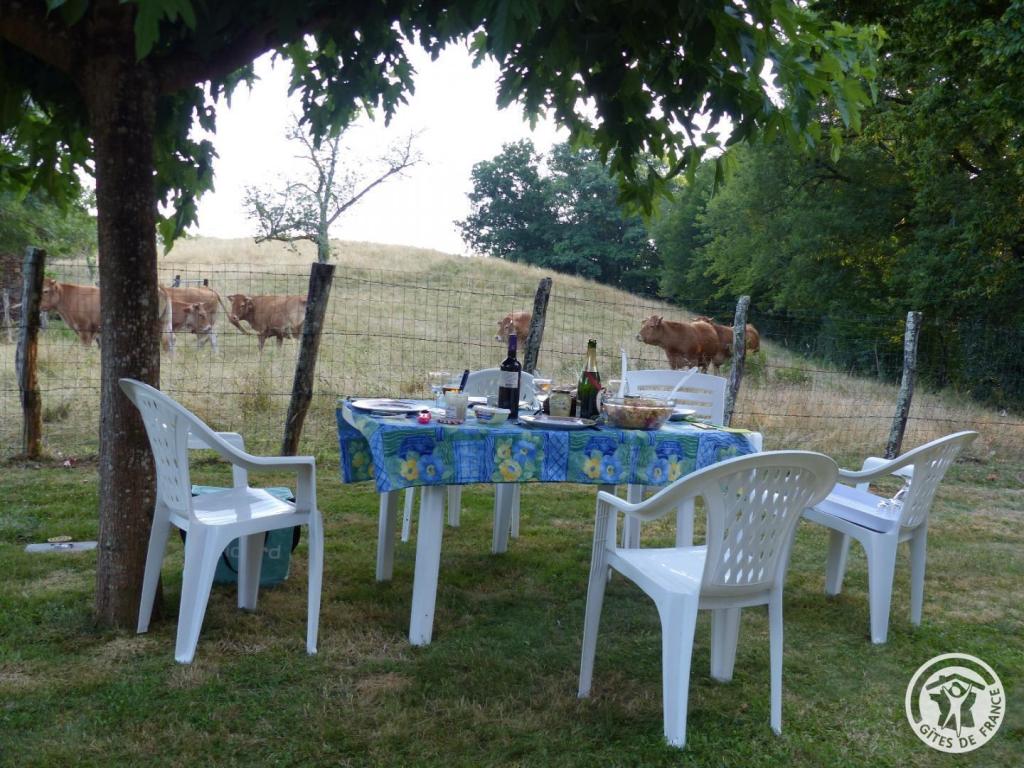 Location Gîtes de France  - Réf : 19G5007