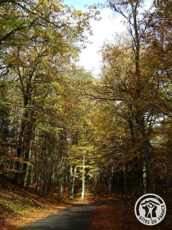 Location Gîtes de France  - Réf : 19G4060