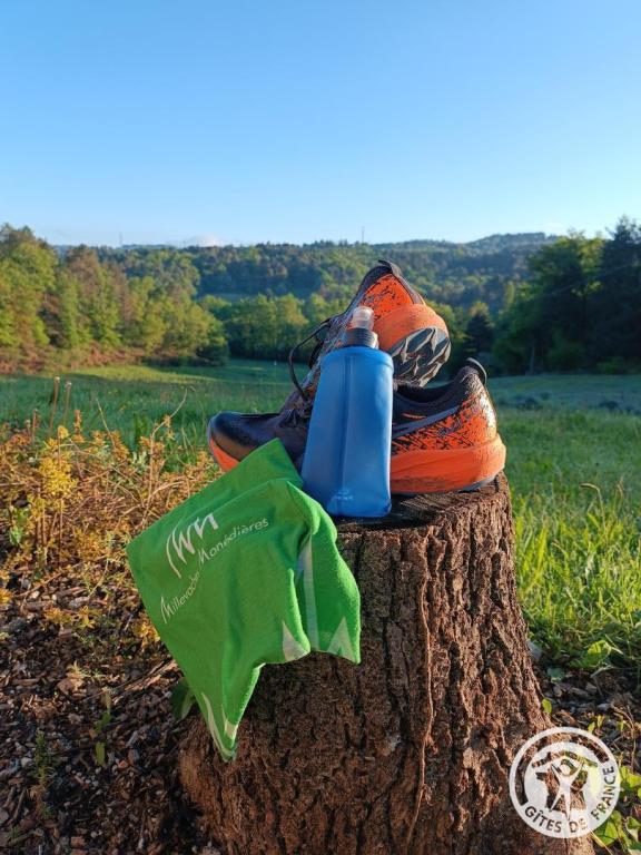 La Grange de la Gissonnerie