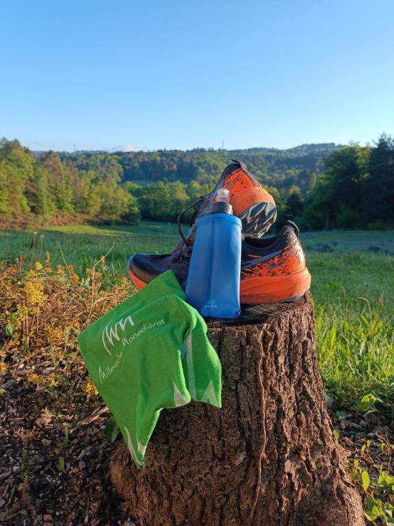 La Grange de la Gissonnerie