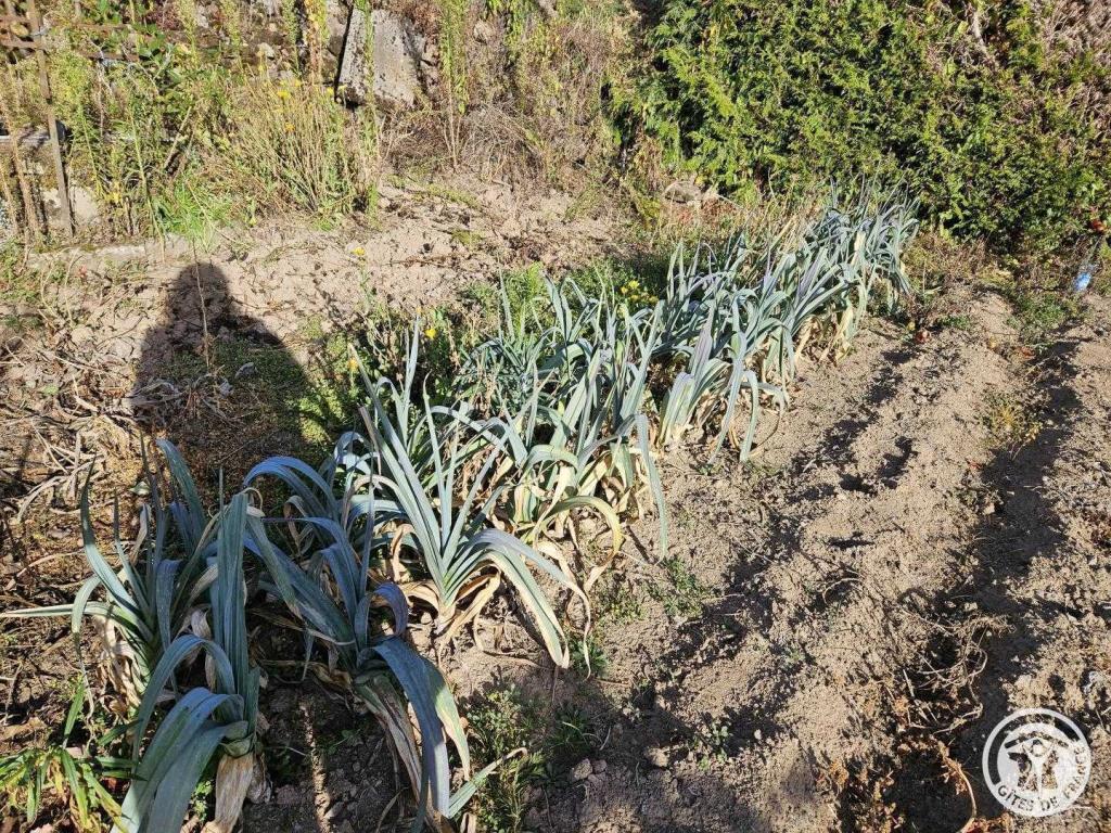 Location Gîtes de France  - Réf : 19G4092