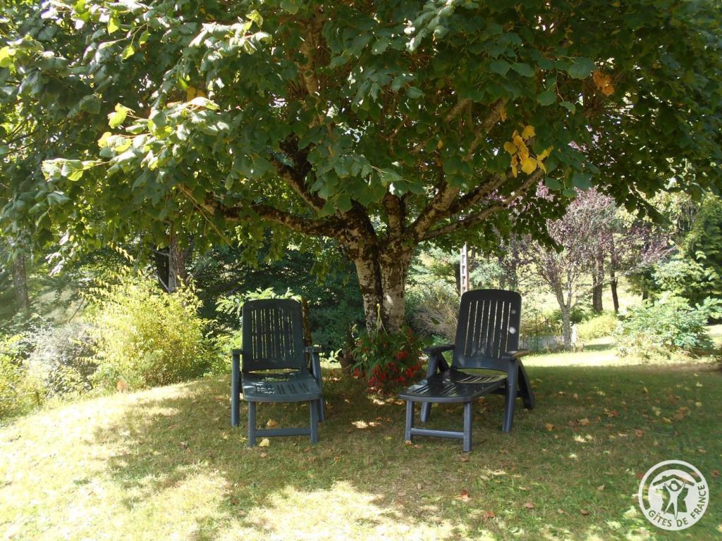 Les Acacias