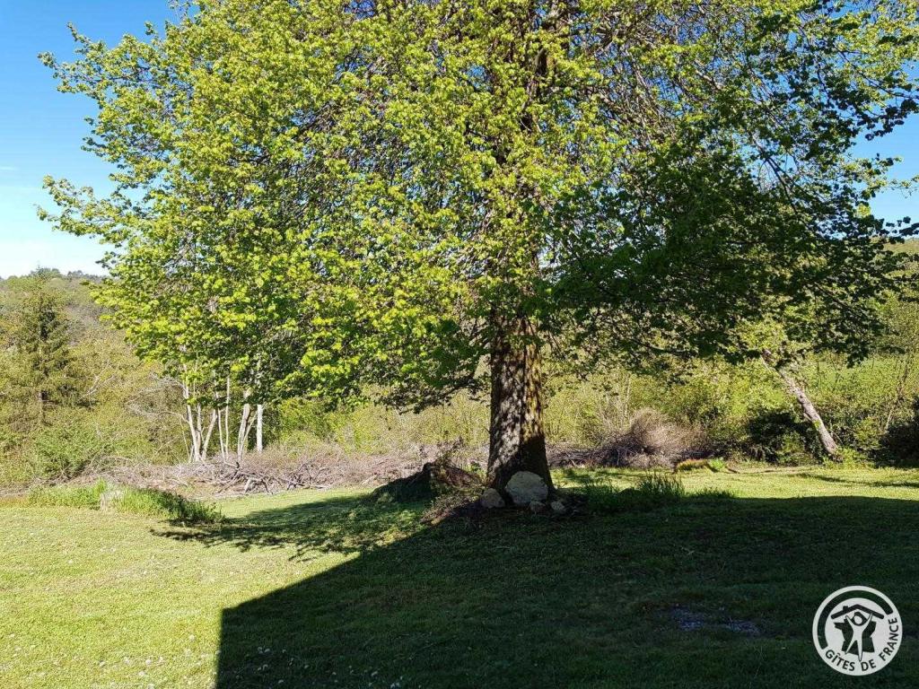 Location Gîtes de France  - Réf : 19G4101