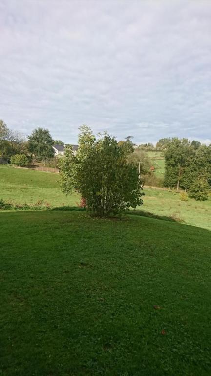 Petit gîte des vignes