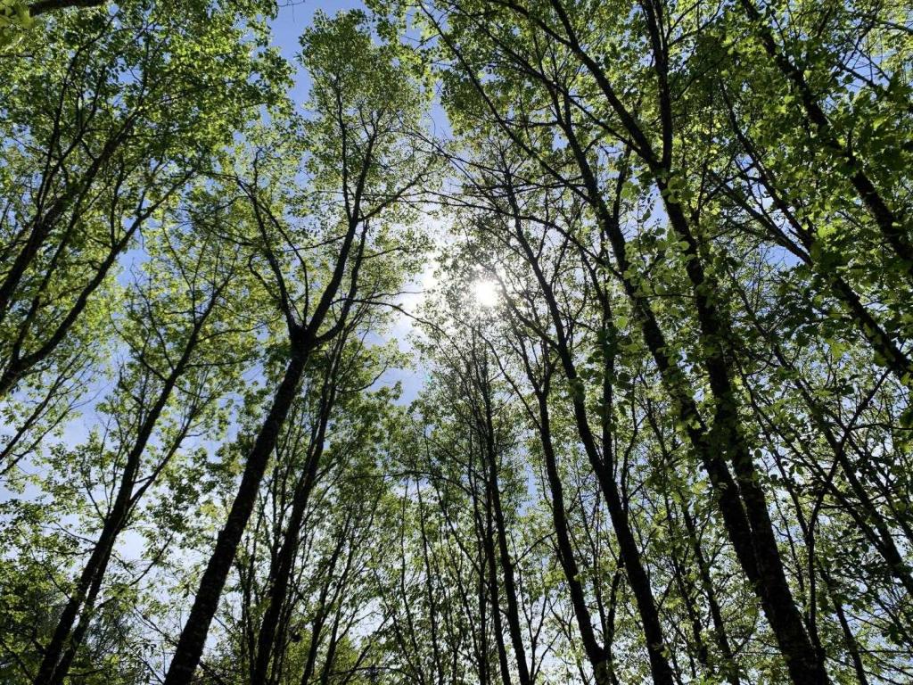 Location Gîtes de France  - Réf : 19G4142