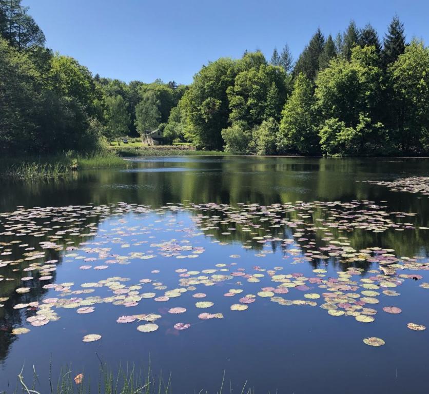 Location Gîtes de France  - Réf : 19G4142