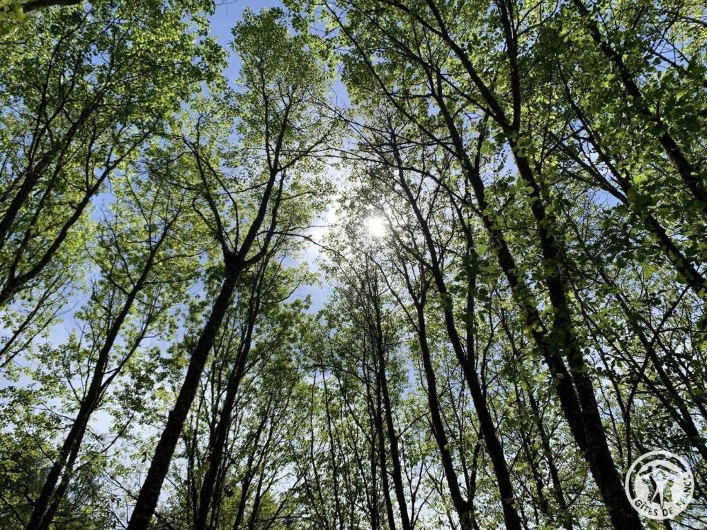 Location Gîtes de France  - Réf : 19G4142