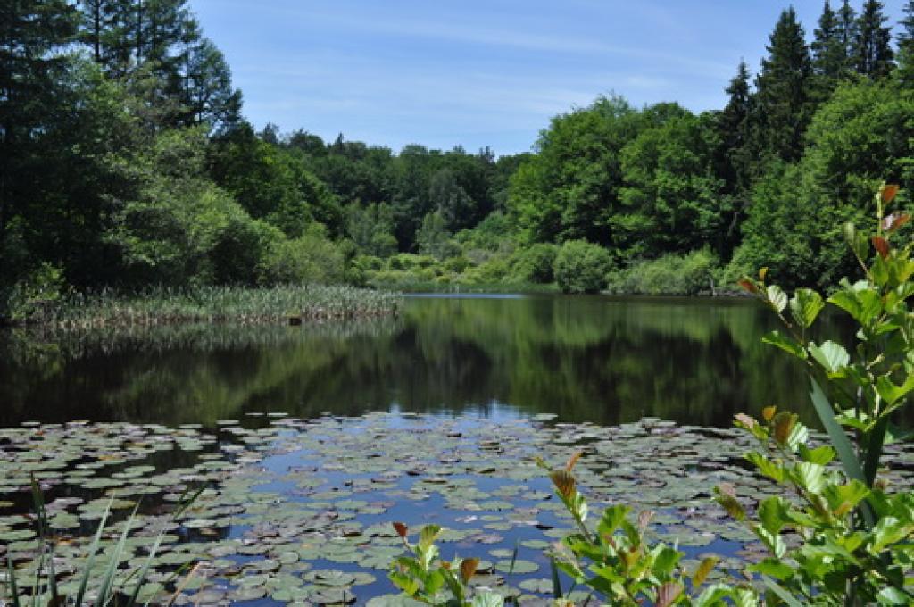 Location Gîtes de France  - Réf : 19G4142