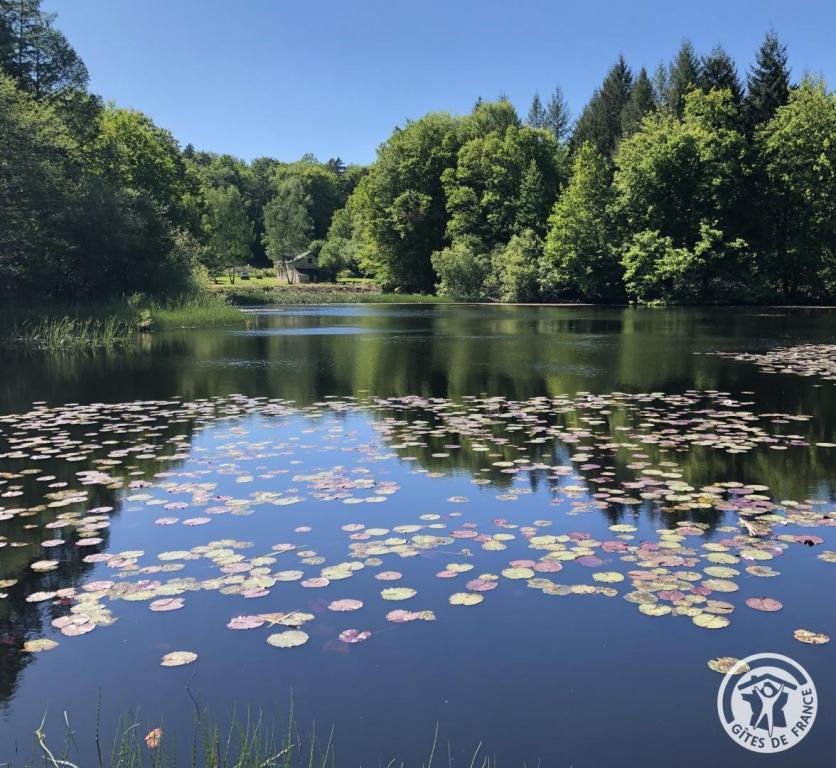 Location Gîtes de France  - Réf : 19G4142