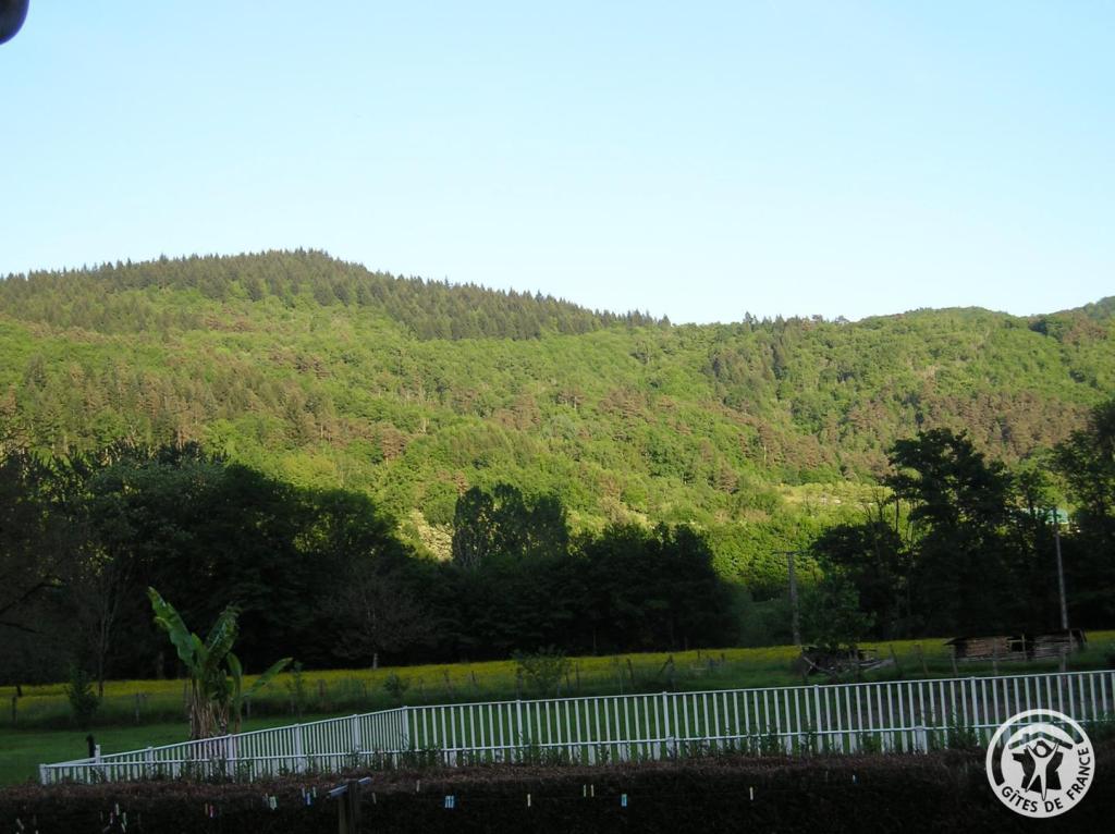 Les Saulières