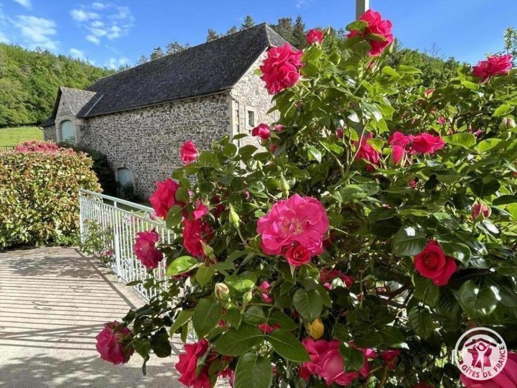 Location Gîtes de France  - Réf : 19G5188