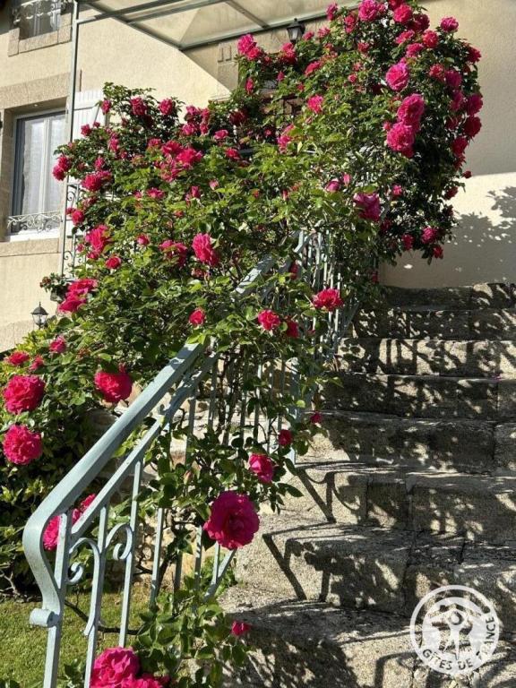 Location Gîtes de France  - Réf : 19G5188