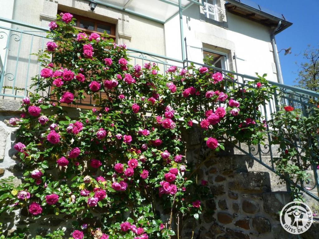 Location Gîtes de France  - Réf : 19G5188