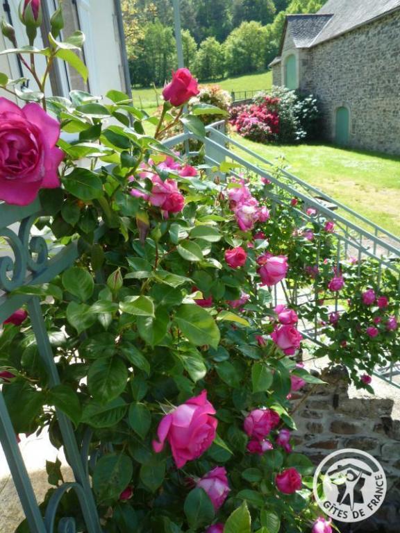 Location Gîtes de France  - Réf : 19G5188