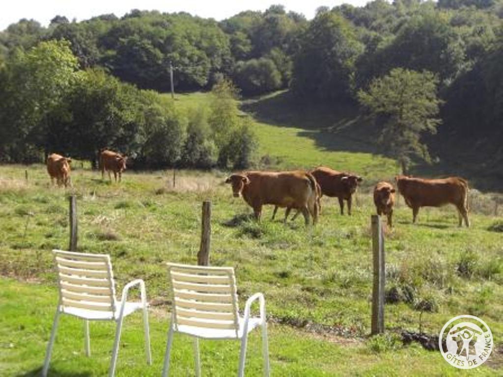 Gîte des Chaises Basses