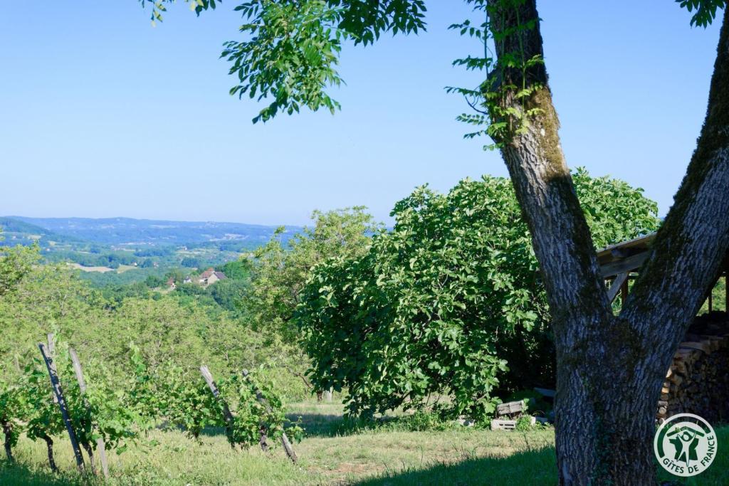 Belleviste