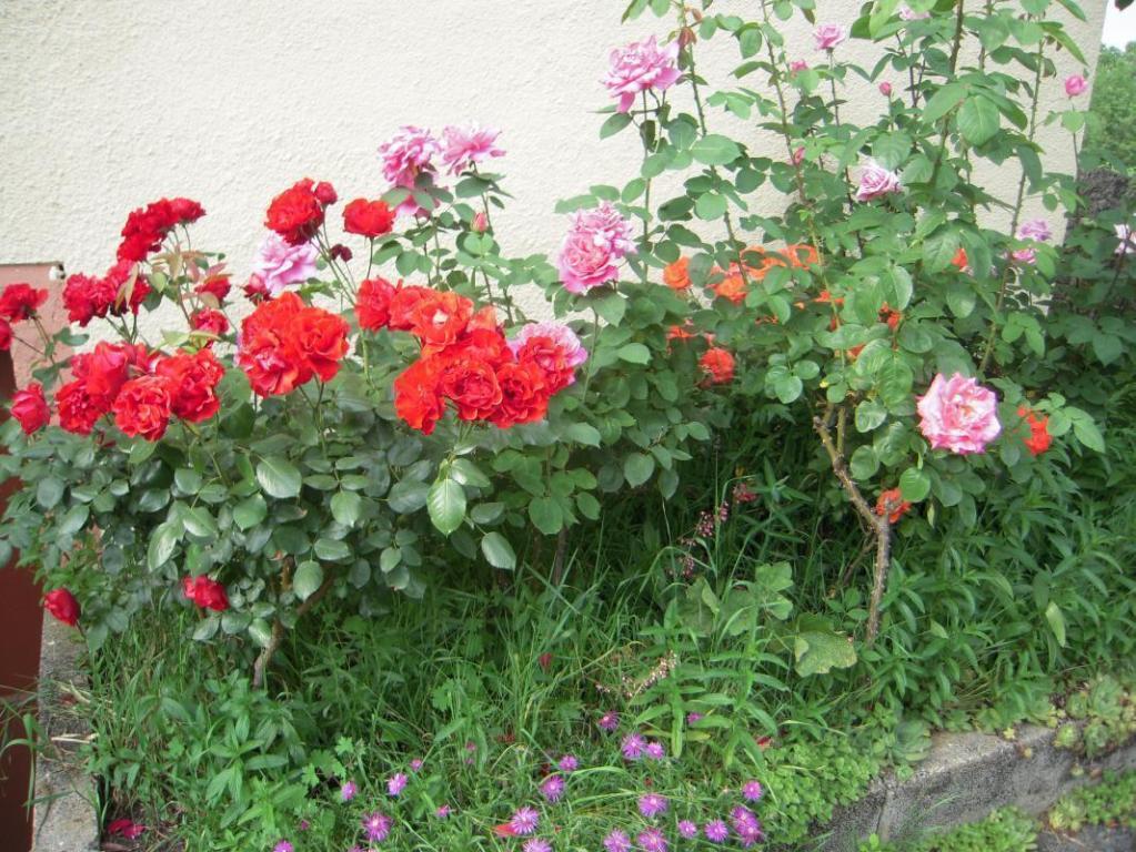 Location Gîtes de France  - Réf : 19G2208