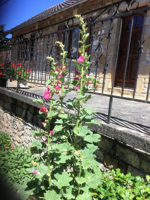 Location Gîtes de France  - Réf : 19G2210