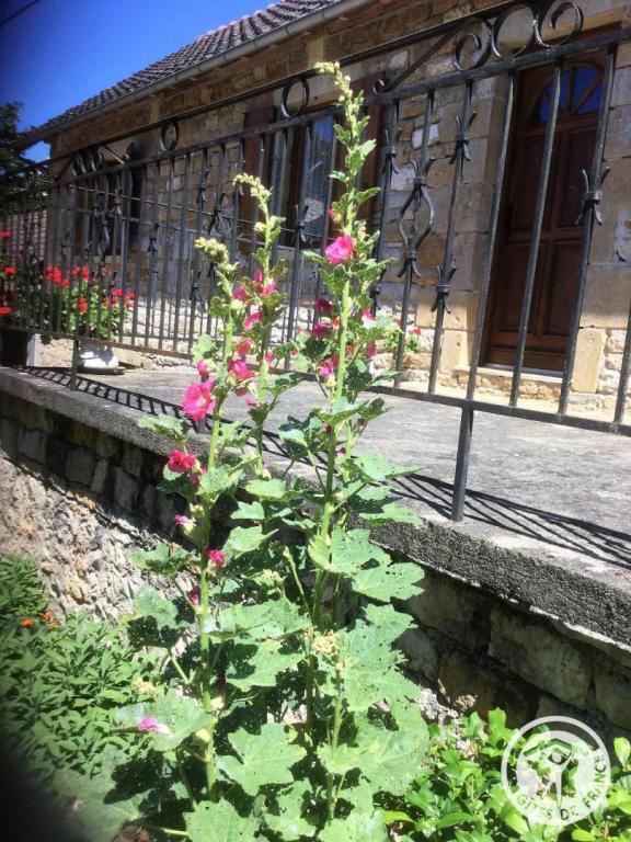 Location Gîtes de France  - Réf : 19G2210