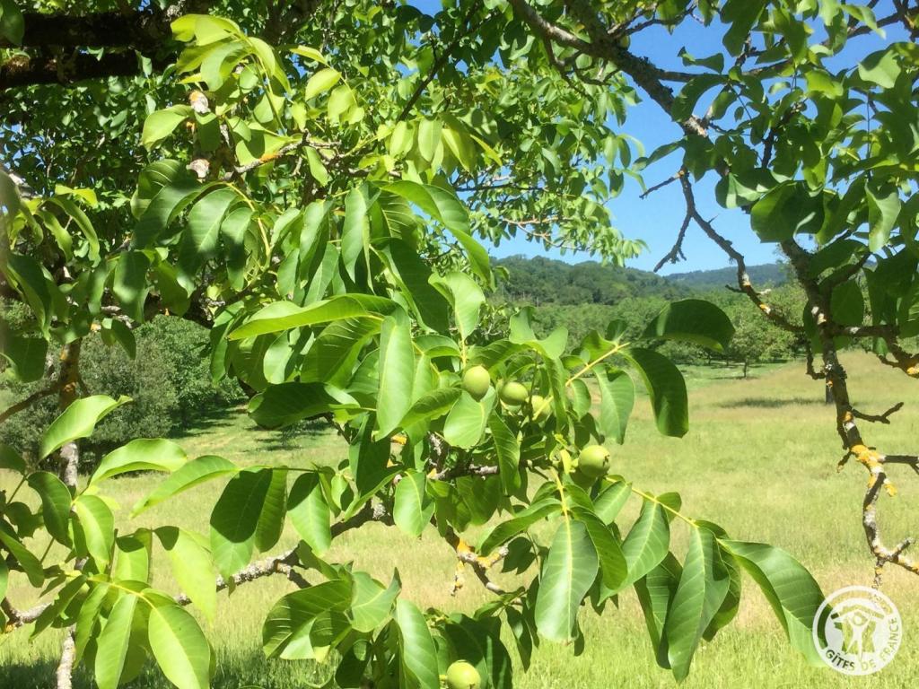 Location Gîtes de France  - Réf : 19G2210