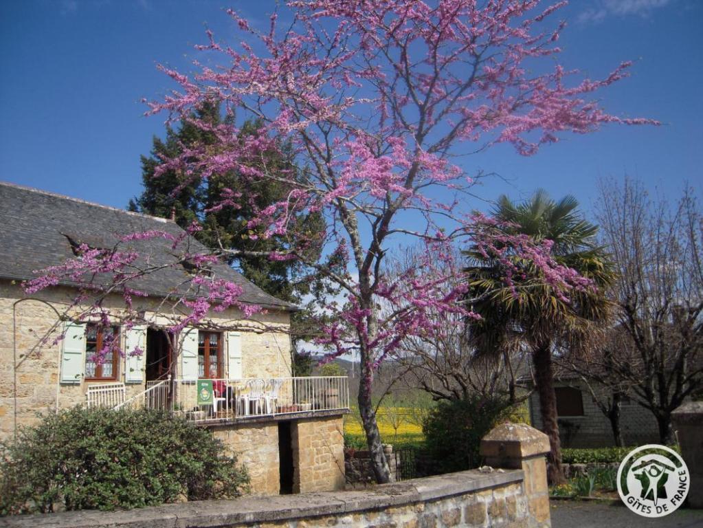 Location Gîtes de France  - Réf : 19G2207