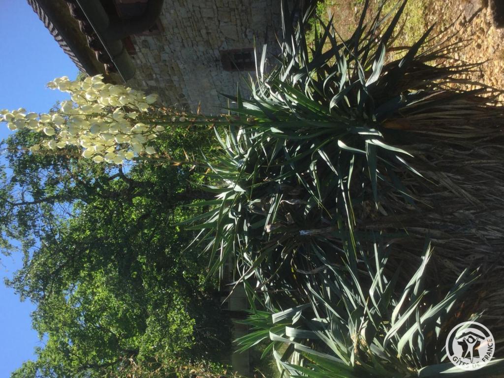 Location Gîtes de France  - Réf : 19G2211