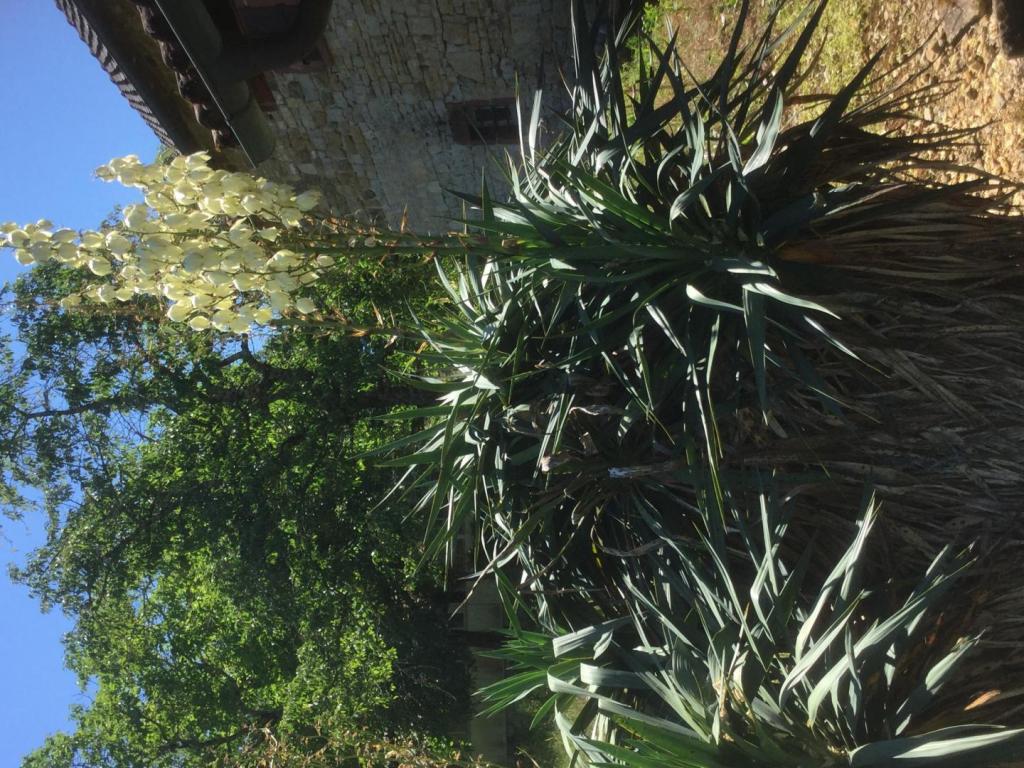 Location Gîtes de France  - Réf : 19G2211