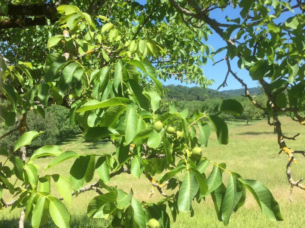 Location Gîtes de France  - Réf : 19G2211