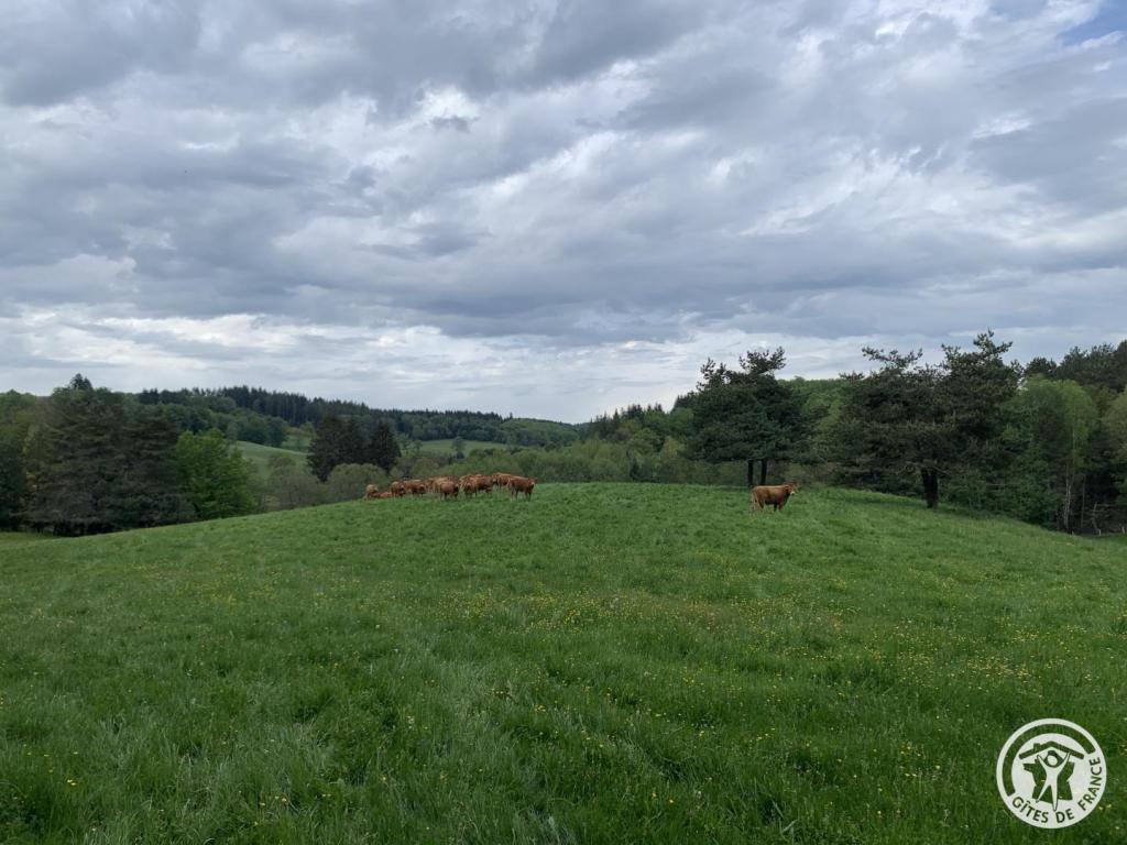 Location Gîtes de France  - Réf : 19G4201