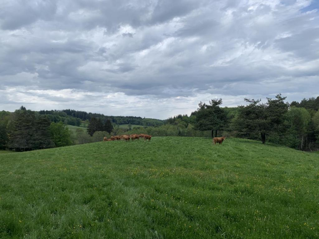 Location Gîtes de France  - Réf : 19G4201