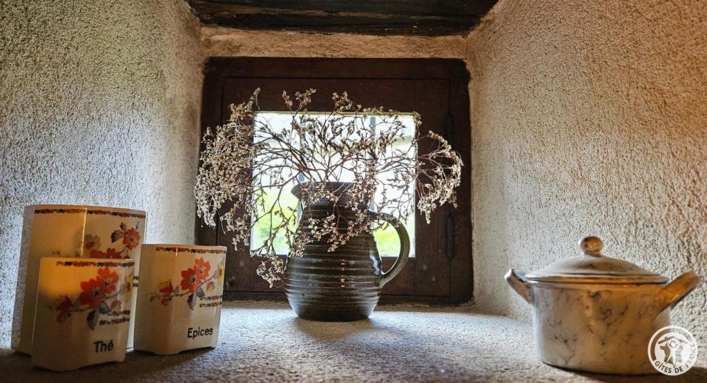 Gîte Ô Merle