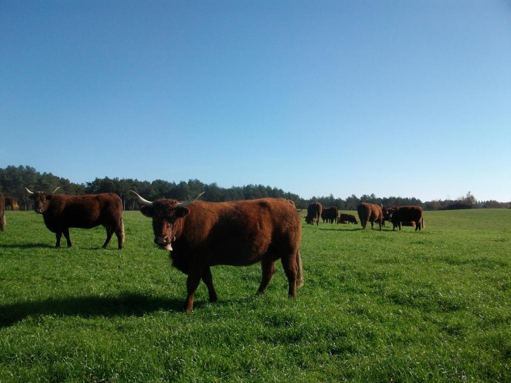 Location Gîtes de France la fournial