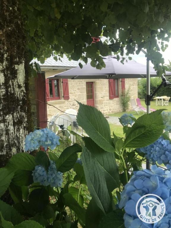 Location Gîtes de France  - Réf : 19G5349