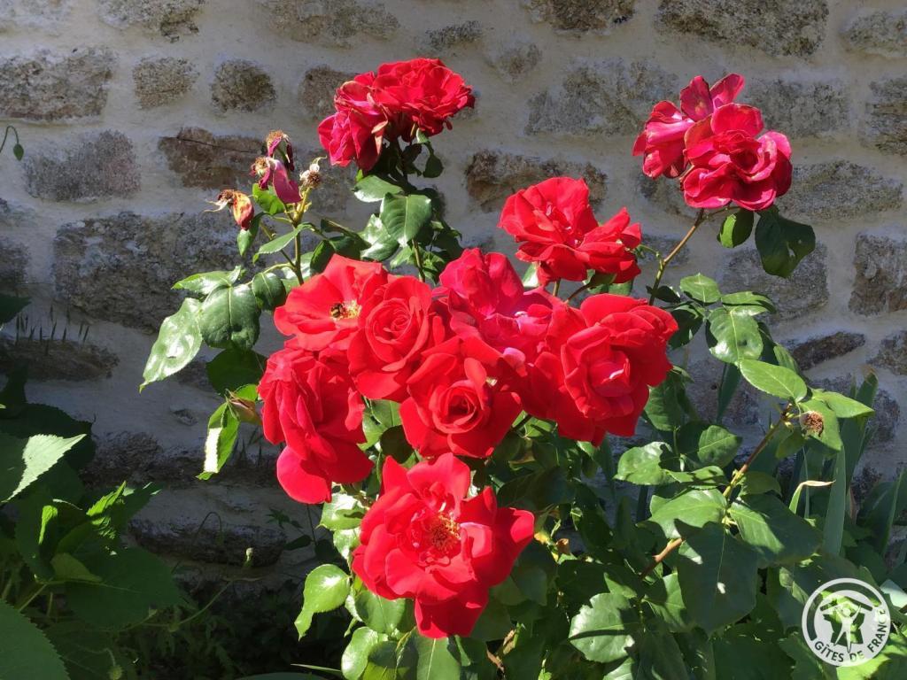 Location Gîtes de France  - Réf : 19G5349