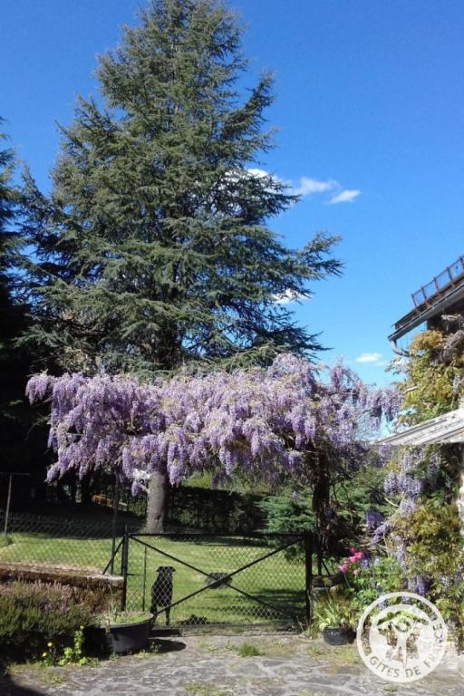 Le Cantou des mille Sources