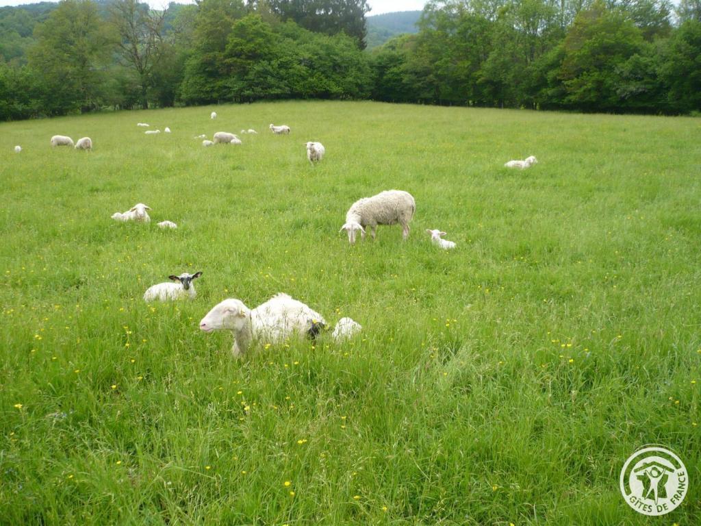 Location Gîtes de France  - Réf : 19G4284